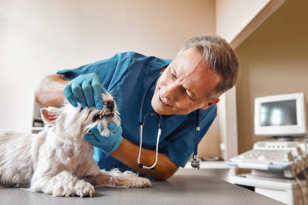 Best After-Hours Emergency Dentist in Livingston, TX