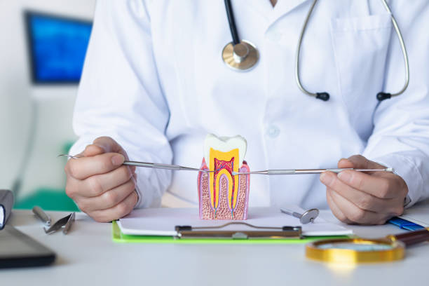 Best Walk-In Emergency Dentist in Livingston, TX
